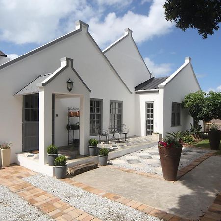 The Lily House Hotel Hermanus Ngoại thất bức ảnh